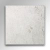 Shellstone Beige Limestone