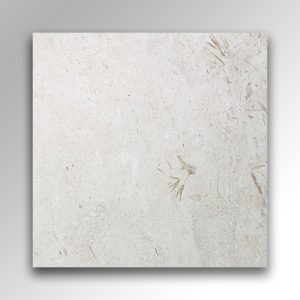 Shellstone Beige Limestone