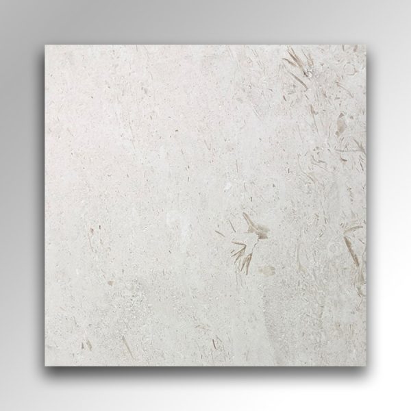 Shellstone Beige Limestone