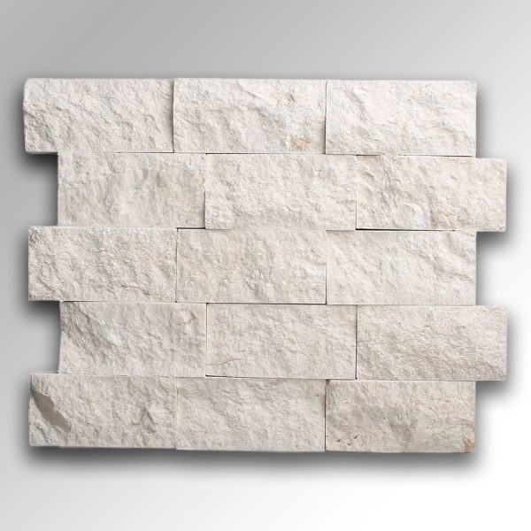 Beige Shellstone Wallstone